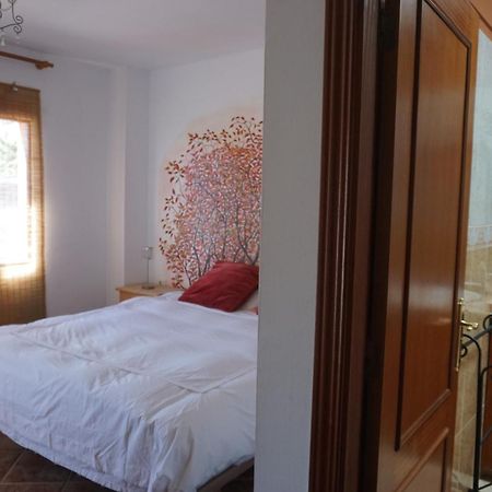 Casa Colores Tenerife Guesthouse 坎德拉里亚 外观 照片