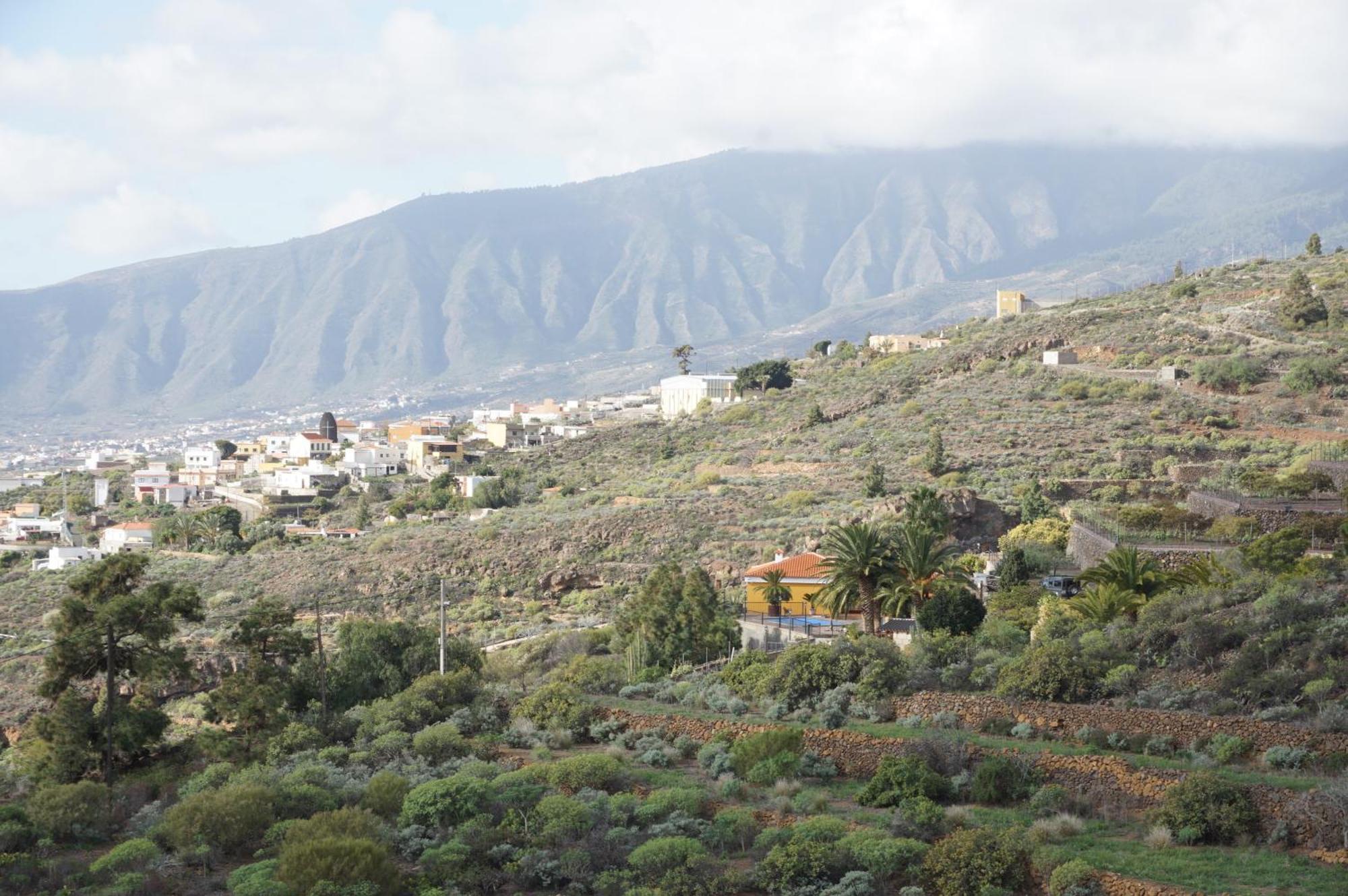 Casa Colores Tenerife Guesthouse 坎德拉里亚 外观 照片